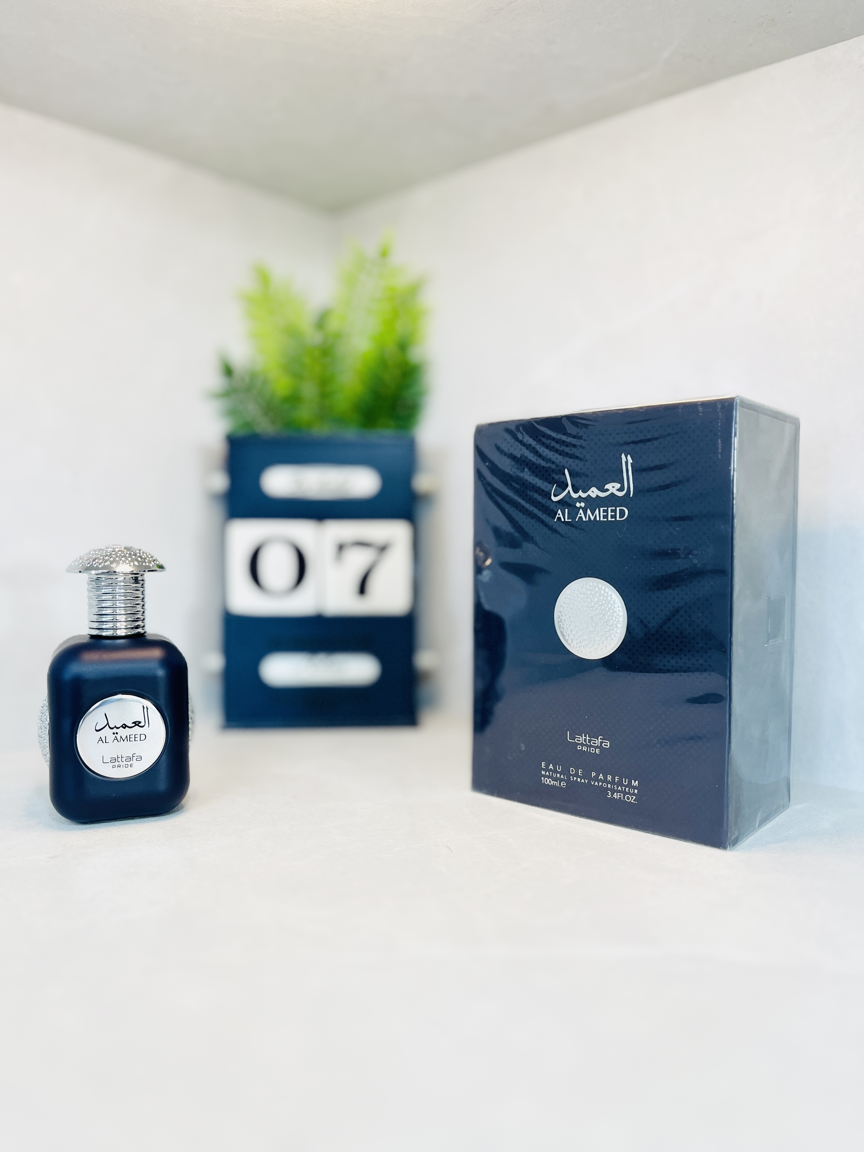 العمید لطافه 100 میل